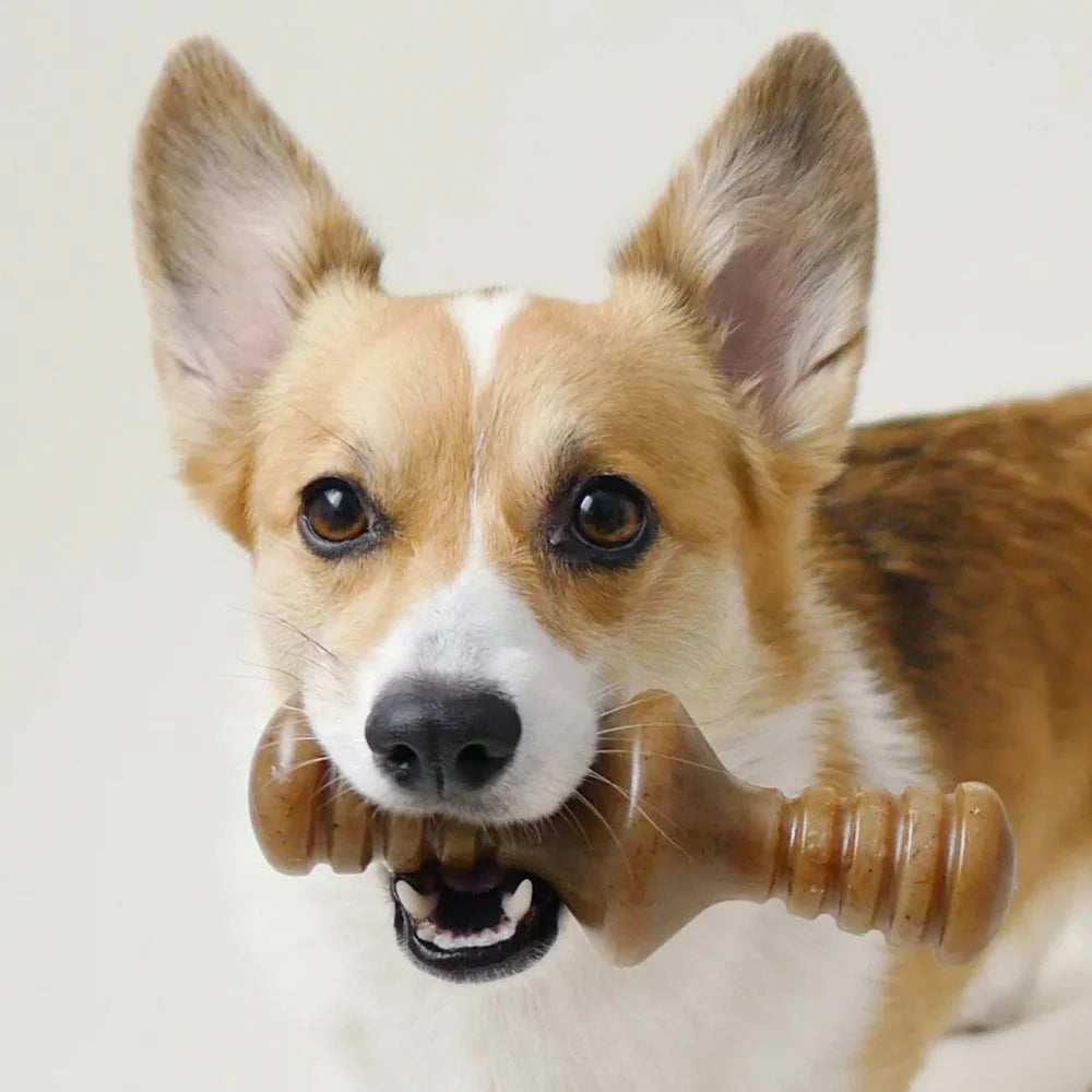 Benebone Zaggler Peanut Dog Chew Toy