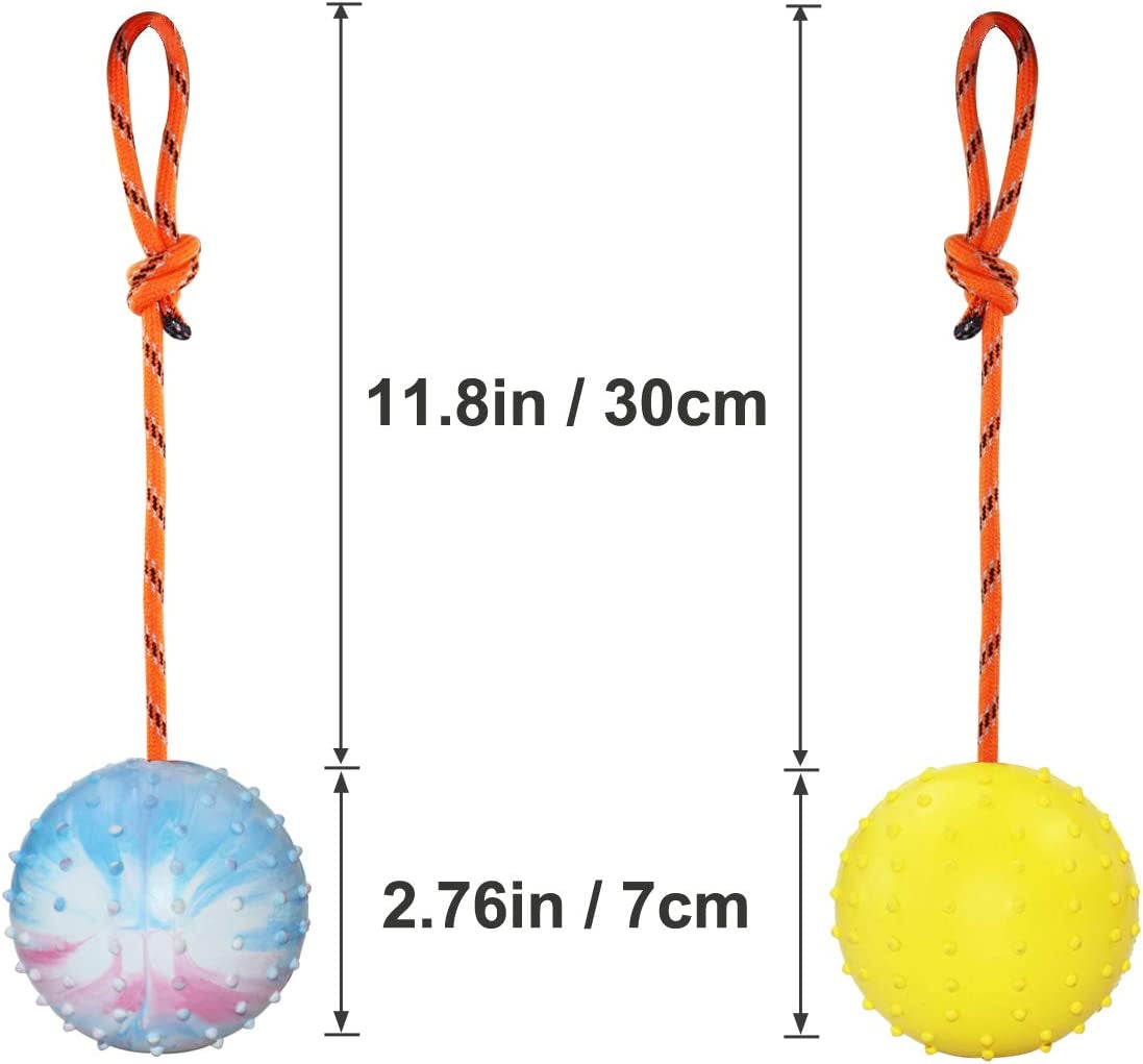2 Pack Dog Ball, K9 Ball, Solid Rubber Ball on Rope for Reward, Fetch, Play (7Cm)